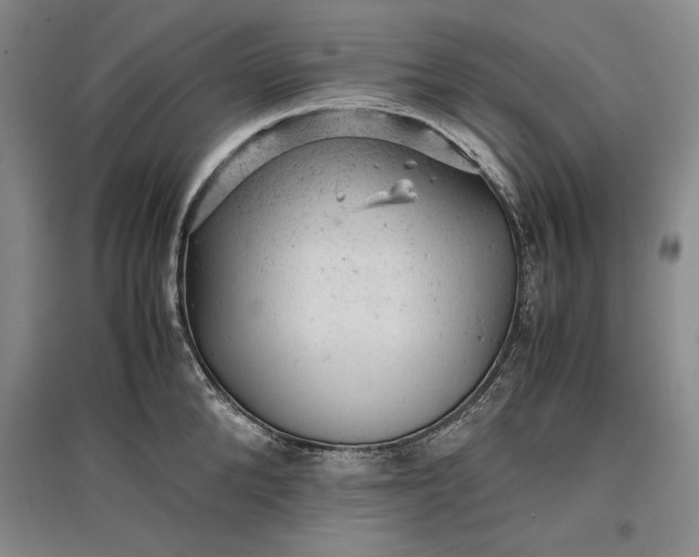 X0000096940904200802221317