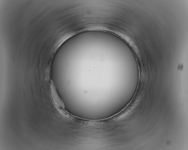 X0000096940905200802221317