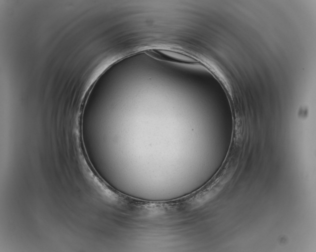 X0000096940906200802221317