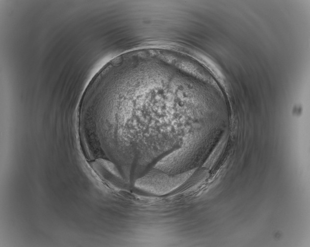 X0000096940907200802221317