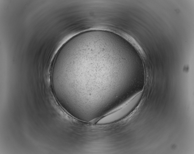 X0000096940908200802221317