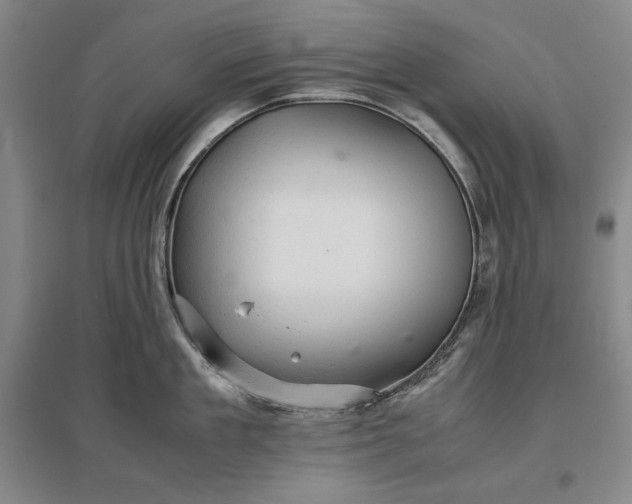 X0000096940909200802221317