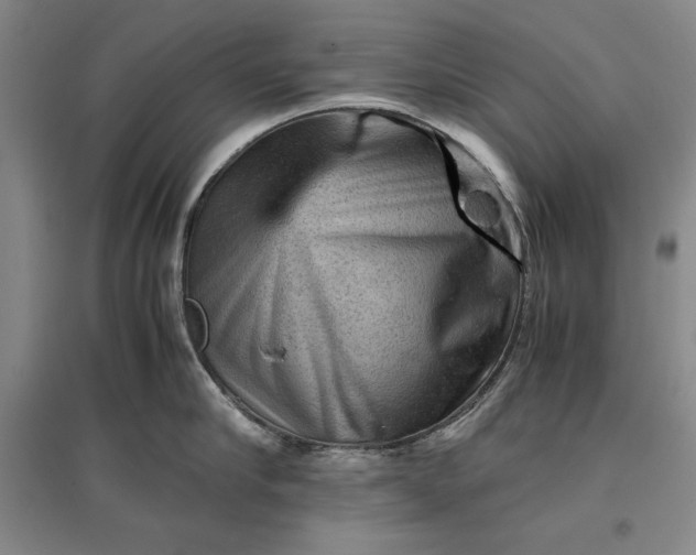 X0000096940910200802221317