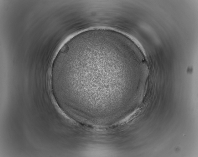 X0000096940911200802221317