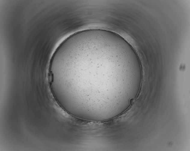 X0000096940912200802221317