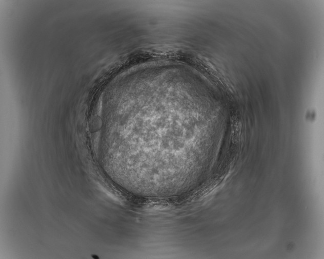 X0000096940913200802221316