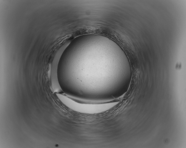 X0000096940914200802221316