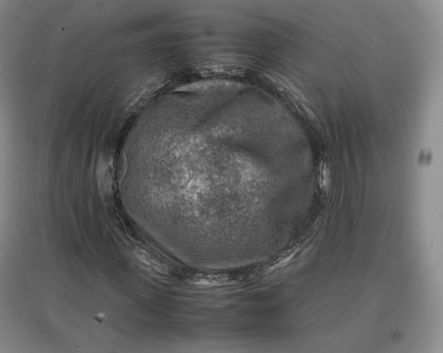 X0000096940915200802221316