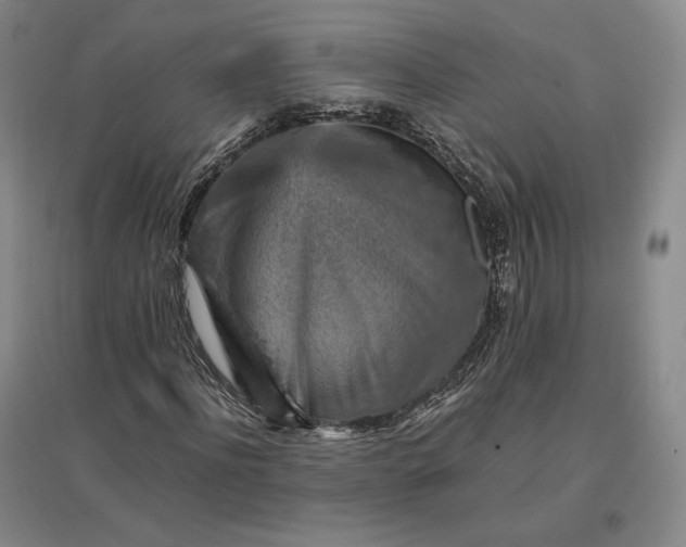 X0000096940916200802221316