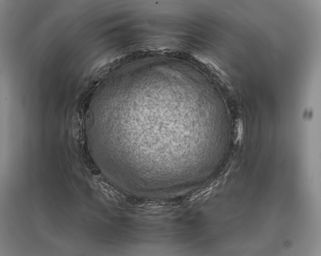 X0000096940917200802221316