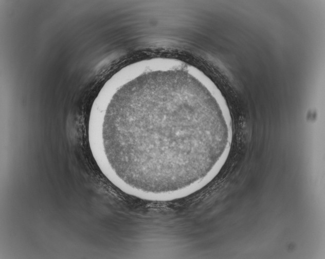 X0000096940918200802221316