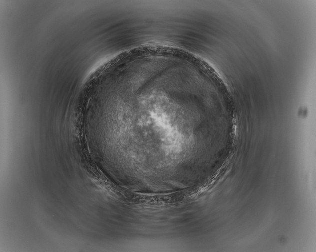 X0000096940919200802221316