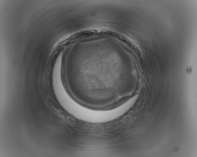 X0000096940920200802221316