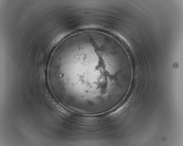 X0000096940921200802221316