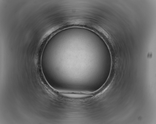 X0000096940922200802221316