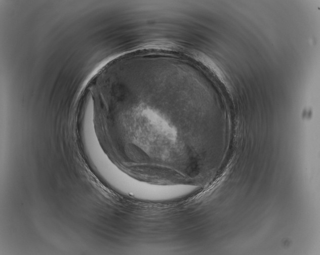 X0000096940923200802221316