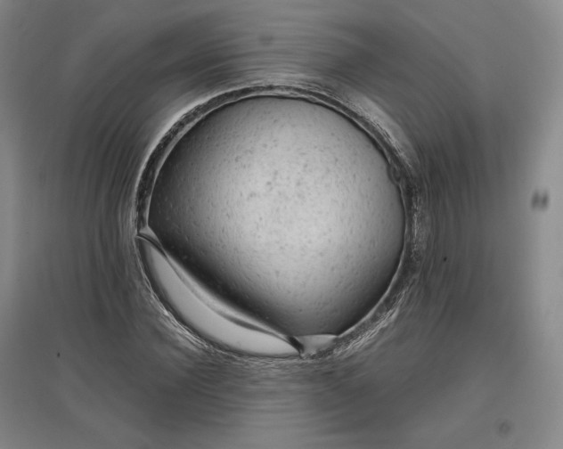 X0000096940924200802221317