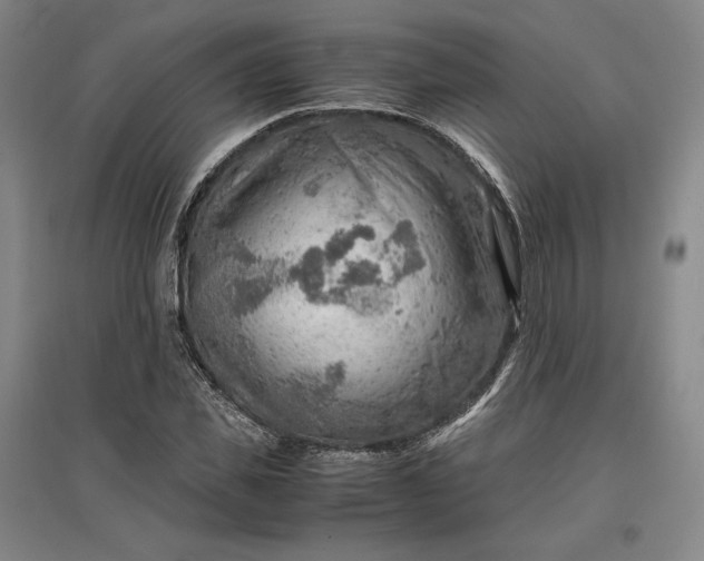 X0000096940925200802221317