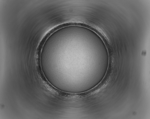 X0000096940926200802221317