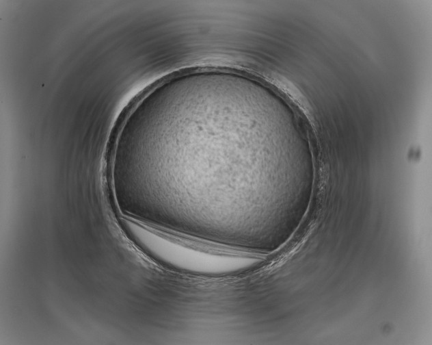 X0000096940928200802221317