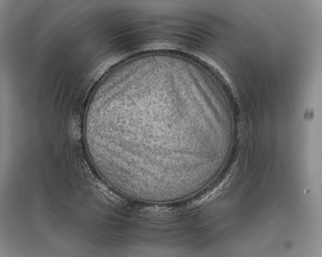 X0000096940929200802221317