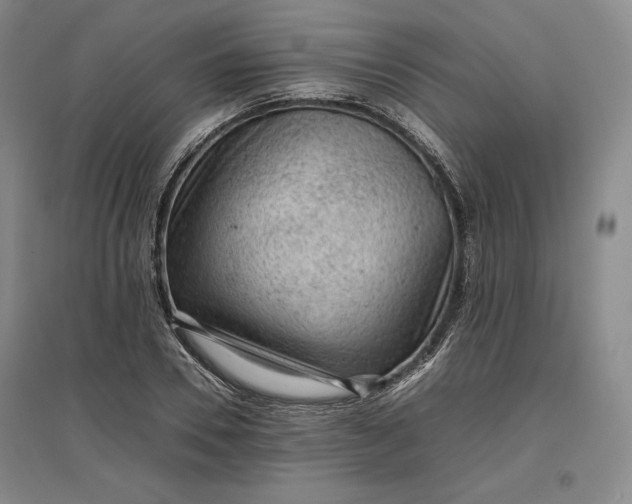 X0000096940930200802221317