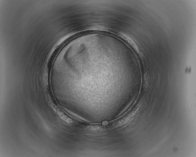 X0000096940931200802221317