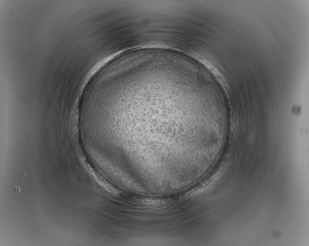 X0000096940933200802221317