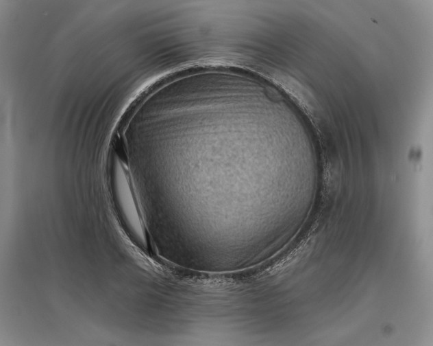 X0000096940934200802221317