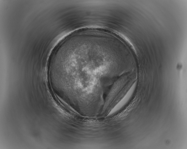 X0000096940935200802221317