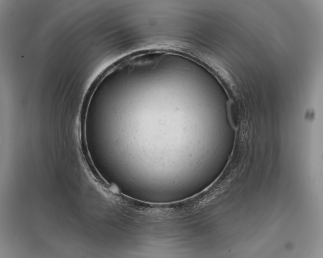 X0000096940936200802221317