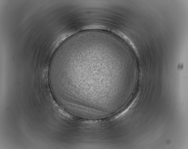 X0000096940937200802221317