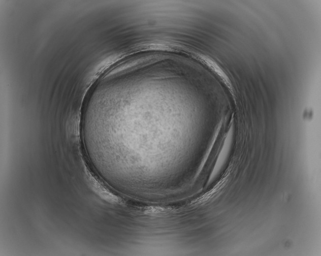 X0000096940938200802221317