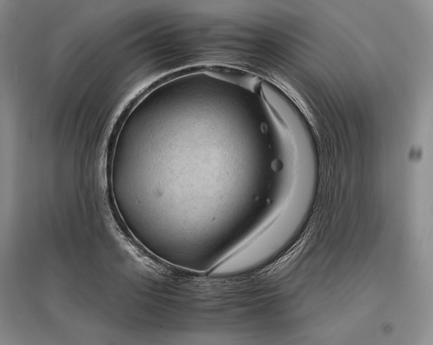 X0000096940939200802221317