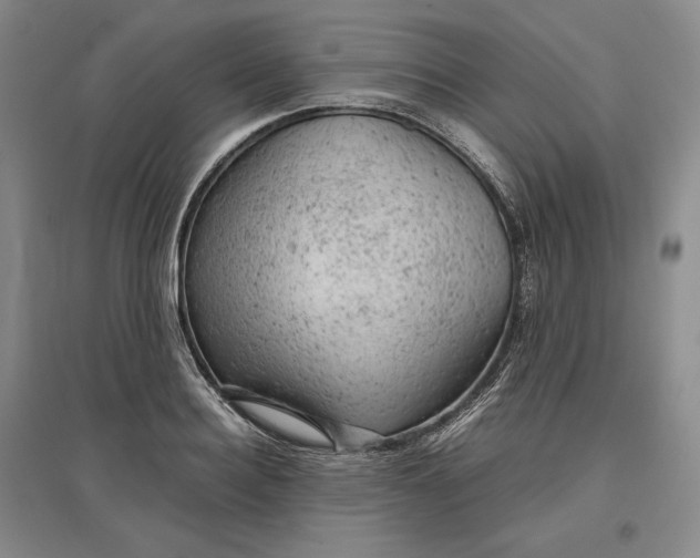 X0000096940940200802221317