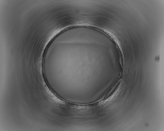 X0000096940941200802221317