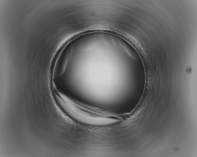 X0000096940942200802221317