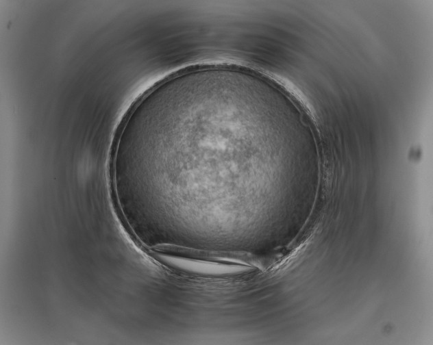 X0000096940943200802221317