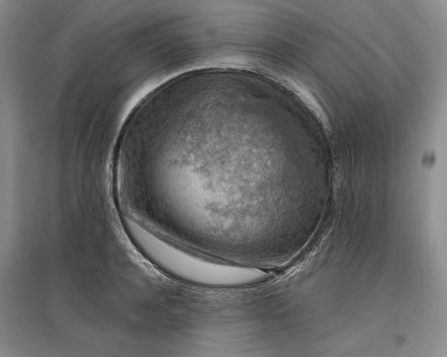 X0000096940944200802221317