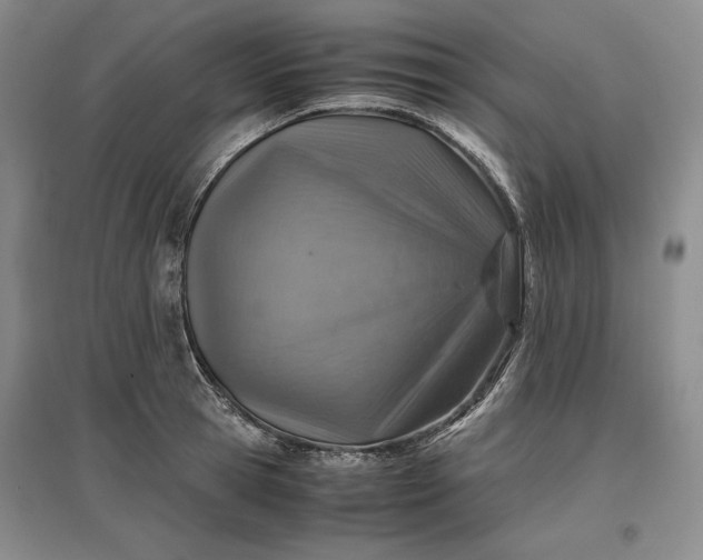 X0000096940945200802221317