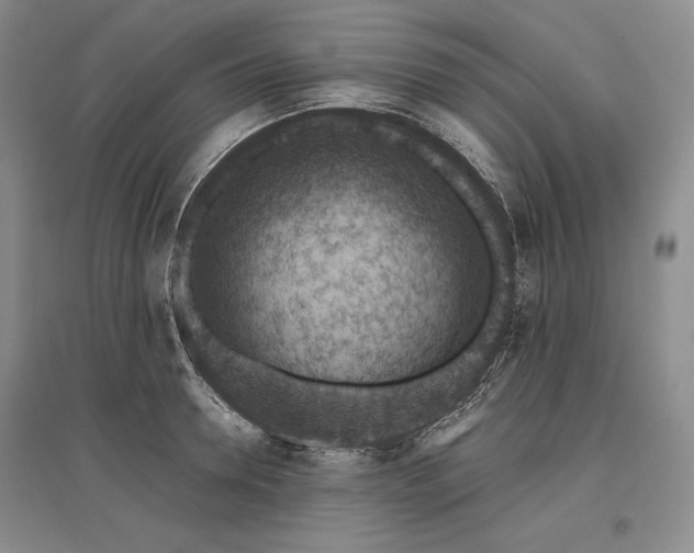 X0000096940946200802221317