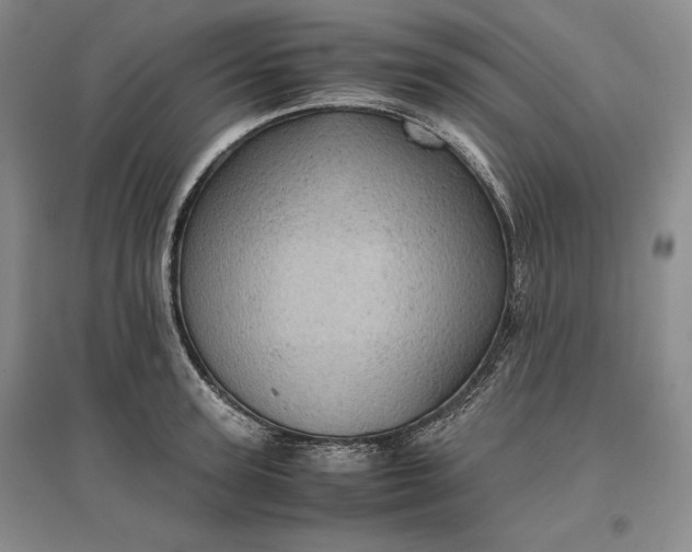 X0000096940947200802221317