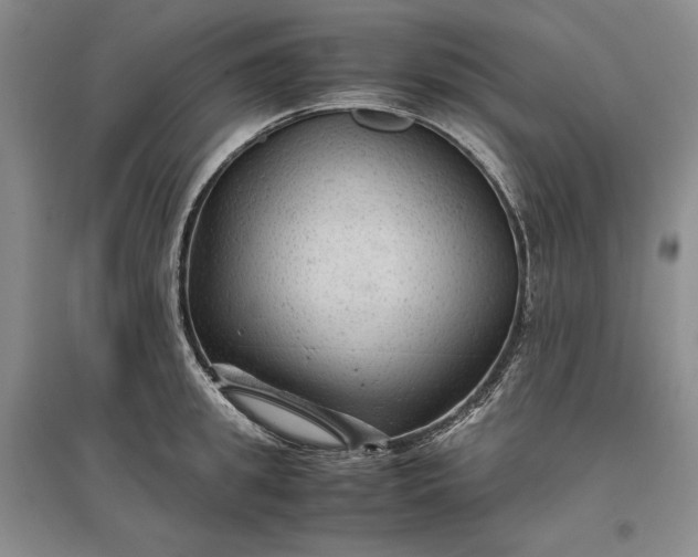 X0000096940949200802221317