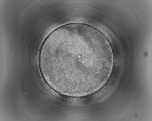 X0000096940950200802221317