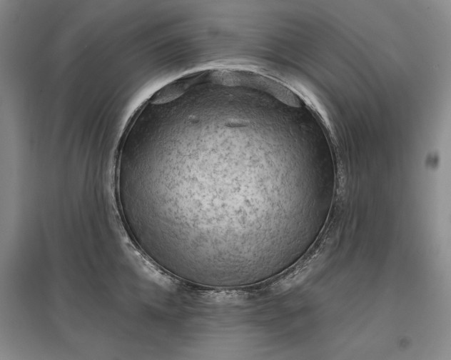 X0000096940952200802221317