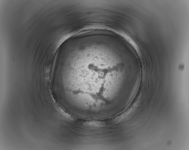 X0000096940953200802221317