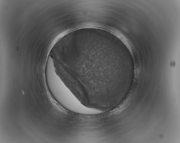 X0000096940954200802221317