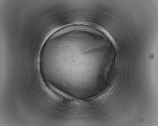 X0000096940955200802221317