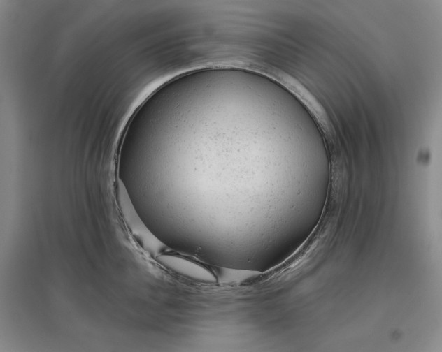 X0000096940956200802221317