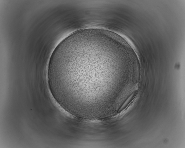 X0000096940957200802221317